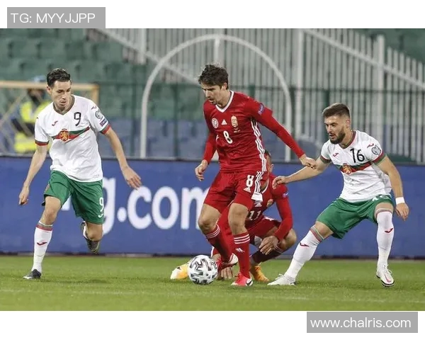 爱沙尼亚与匈牙利足球比赛结果分析及精彩瞬间回顾 爱沙尼亚与匈牙利足球比赛结果分析及精彩瞬间回顾