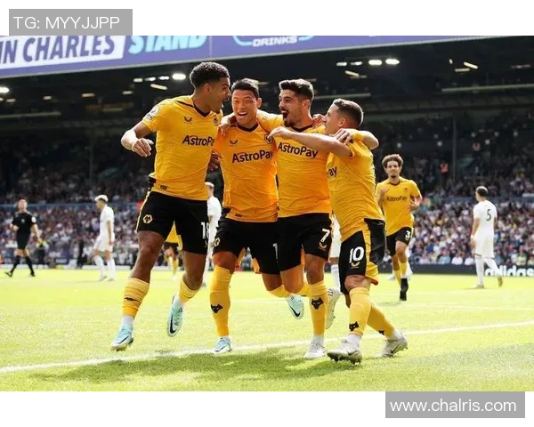 狼队与切尔西欧赔分析揭示比赛胜负关键因素与投注建议 狼队与切尔西欧赔分析揭示比赛胜负关键因素与投注建议