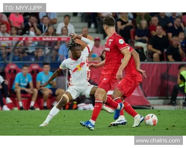 特温特足球俱乐部的辉煌历程与未来发展展望 特温特足球俱乐部的辉煌历程与未来发展展望