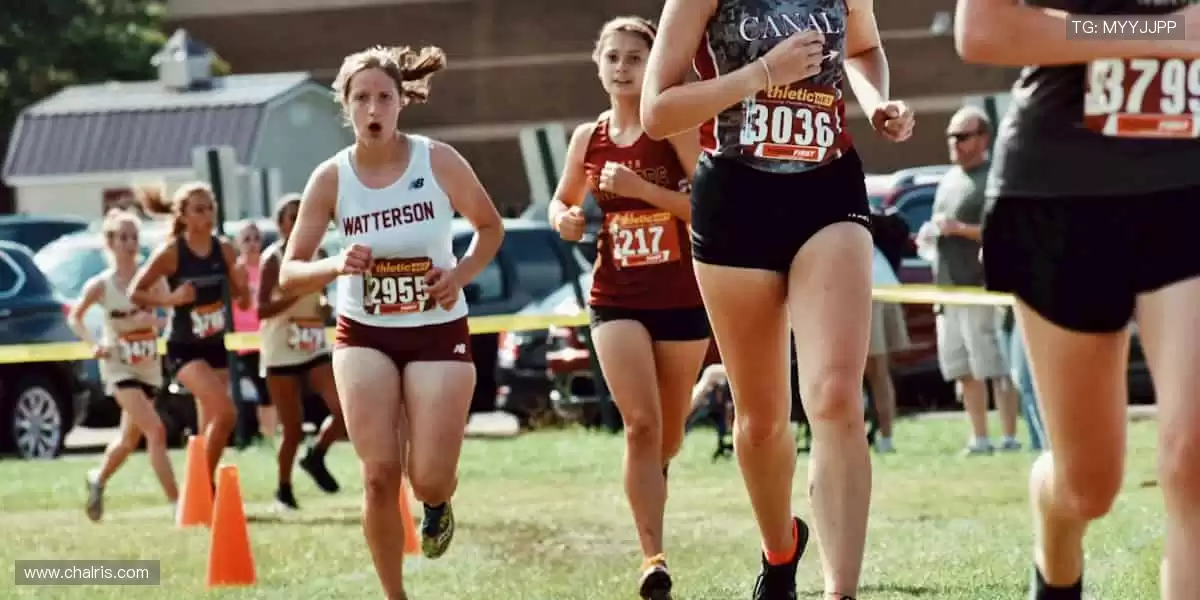 📺 一键直击,赛事瞬间零时差!